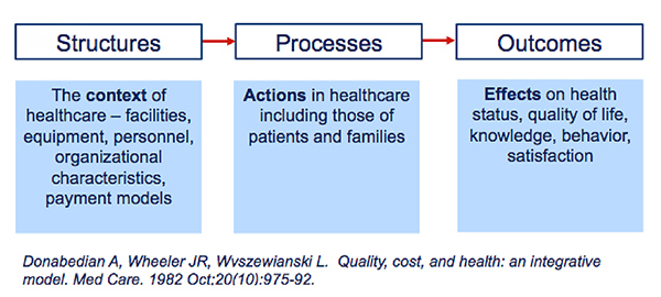 Structures Processes Outcomes